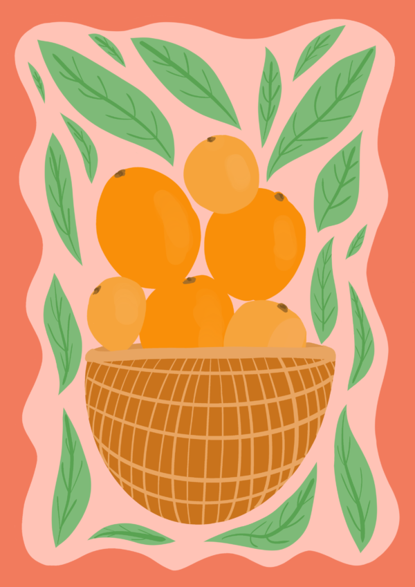 Citrus Harvest - Image 2